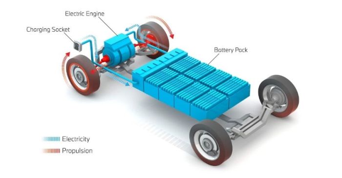 Battery Electric Vehicles (BEVs)