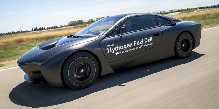 Hydrogen Fuel Cell Vehicles