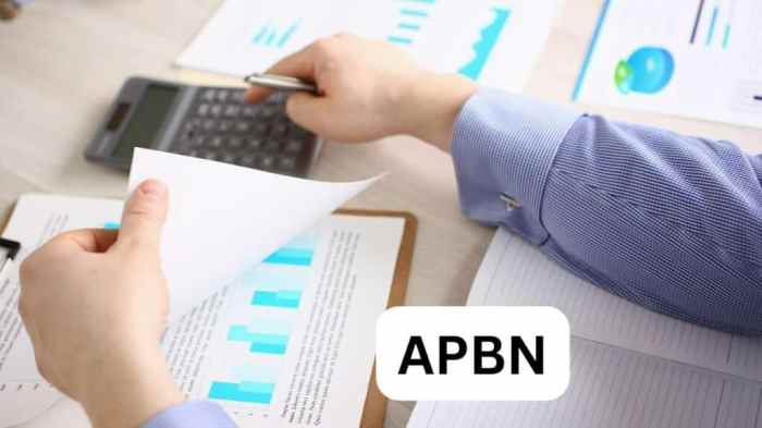 Anggaran belanja negara (APBN)