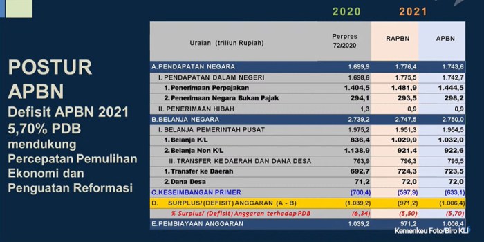 Belanja negara pemerintah